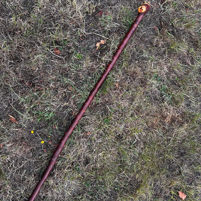 Large Knob Blackthorn Shillelagh – 100 cm (39.4”)