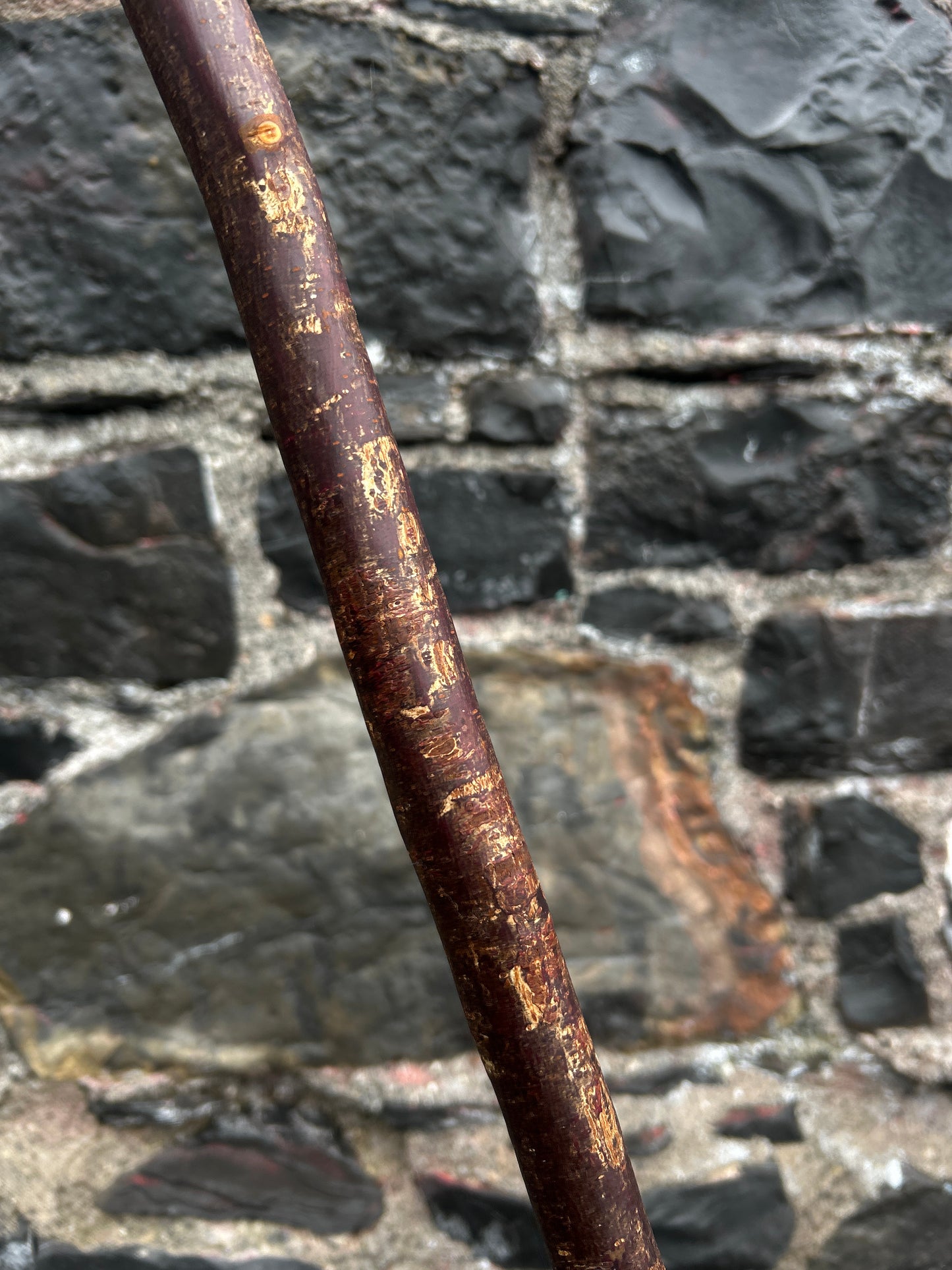 Sloped Blackthorn Hiking Stick – 103 cm (40.5”)