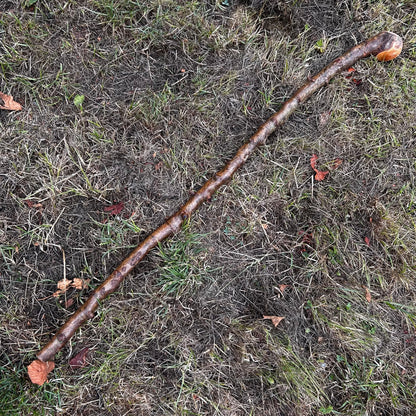 Whitethorn Shillelagh Knob Stick – 87.1 cm (34.3”)