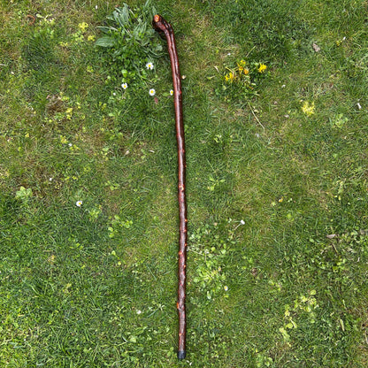 Luxury Blackthorn Shillelagh Root Ball Knob Stick – 101 cm (39.7”)