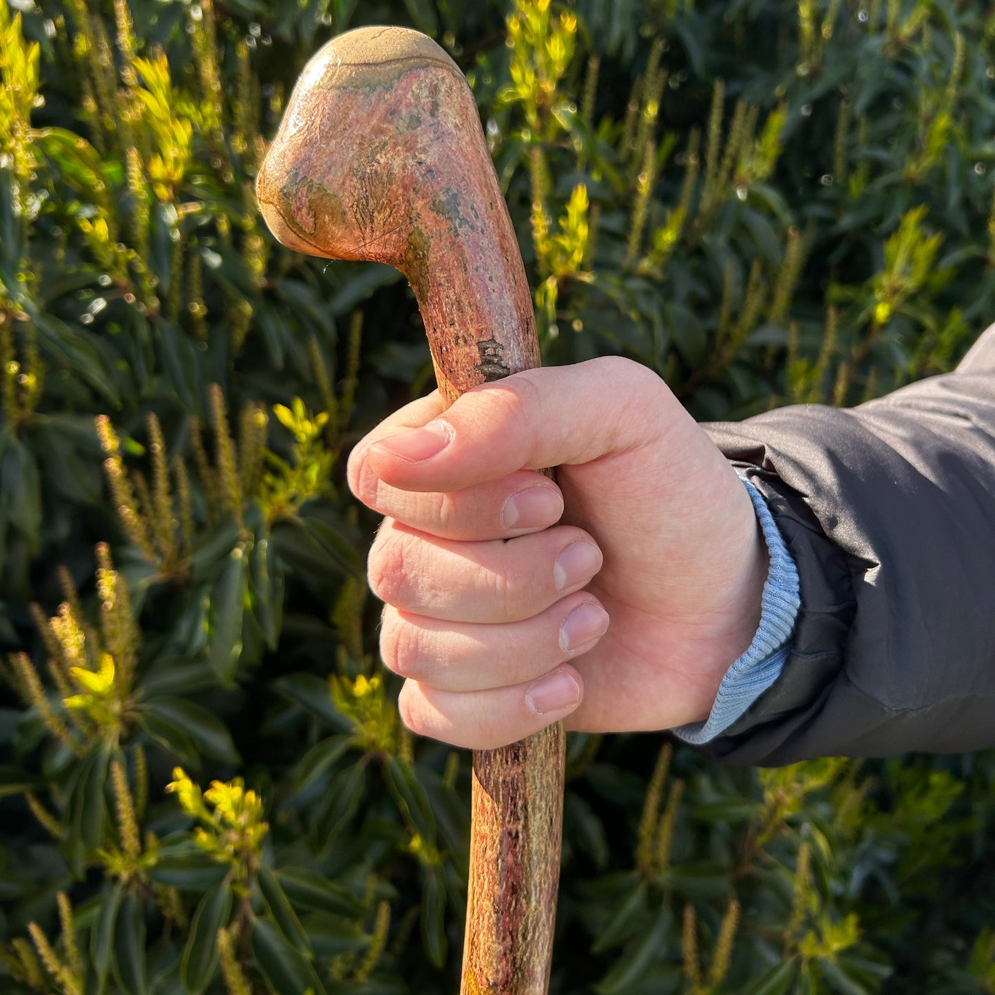 Hazel Shillelagh Knob Stick – 103 cm (40.5”)