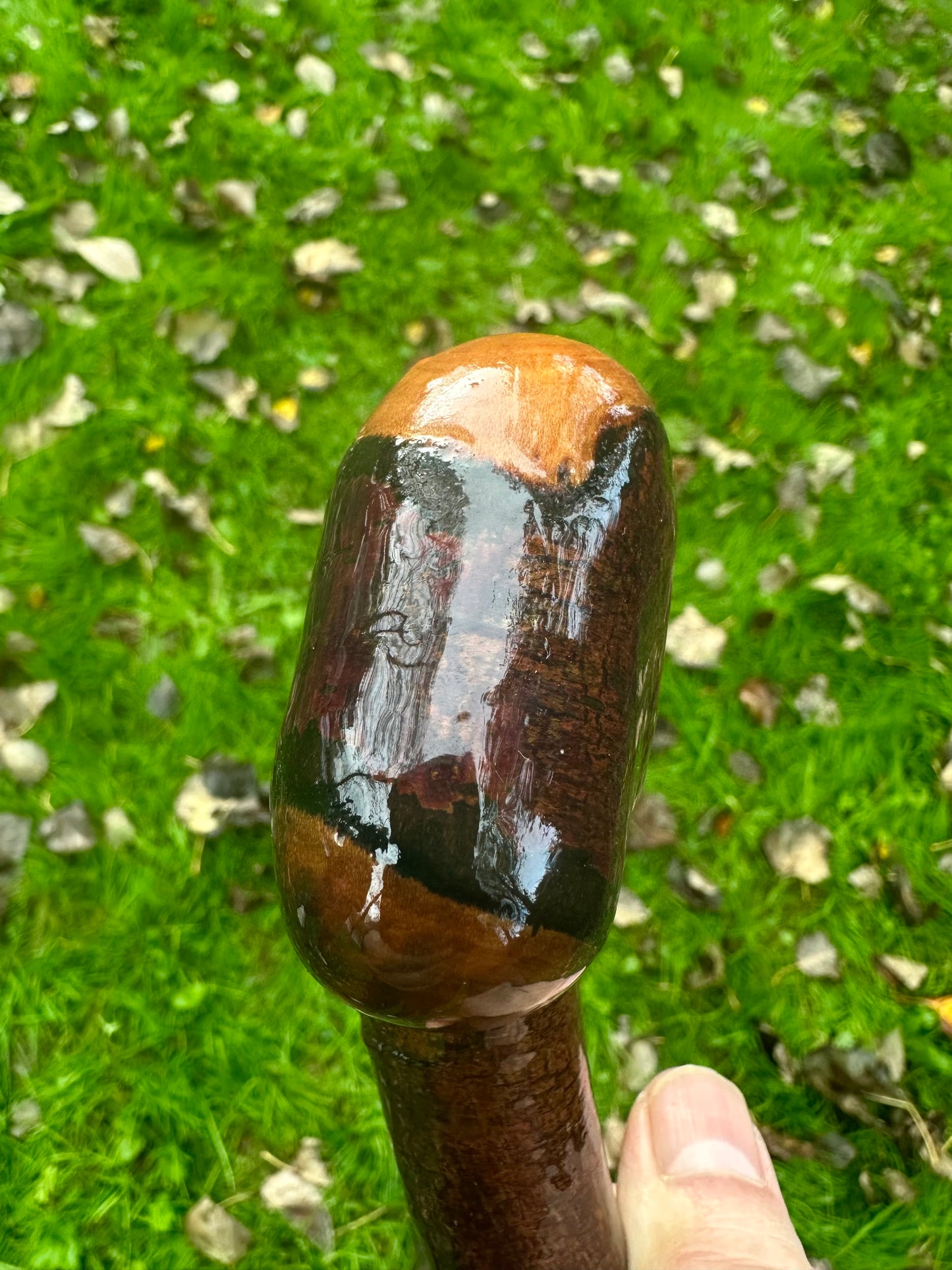 Irish Blackthorn Walking Stick – 40”