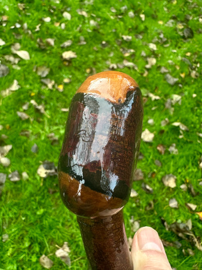 Irish Blackthorn Walking Stick – 40”