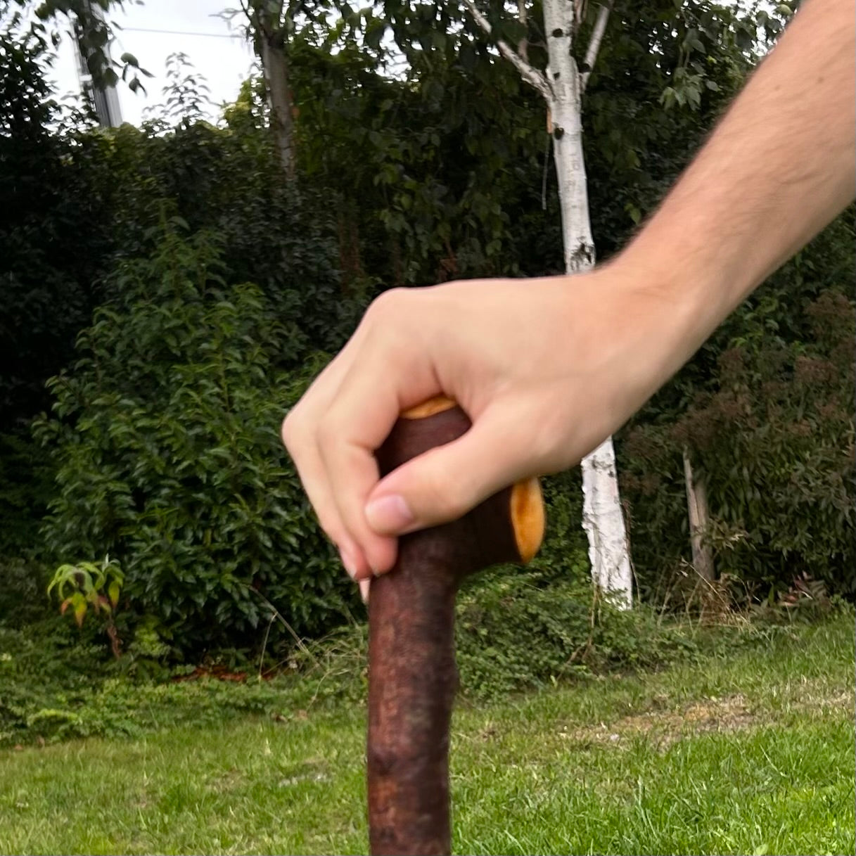 Rustic Blackthorn Shillelagh Thumb Rest Knob Stick – 100 cm (39.4”)