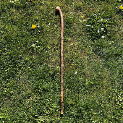 Hazel Shillelagh Knob Stick – 103 cm (40.5”)