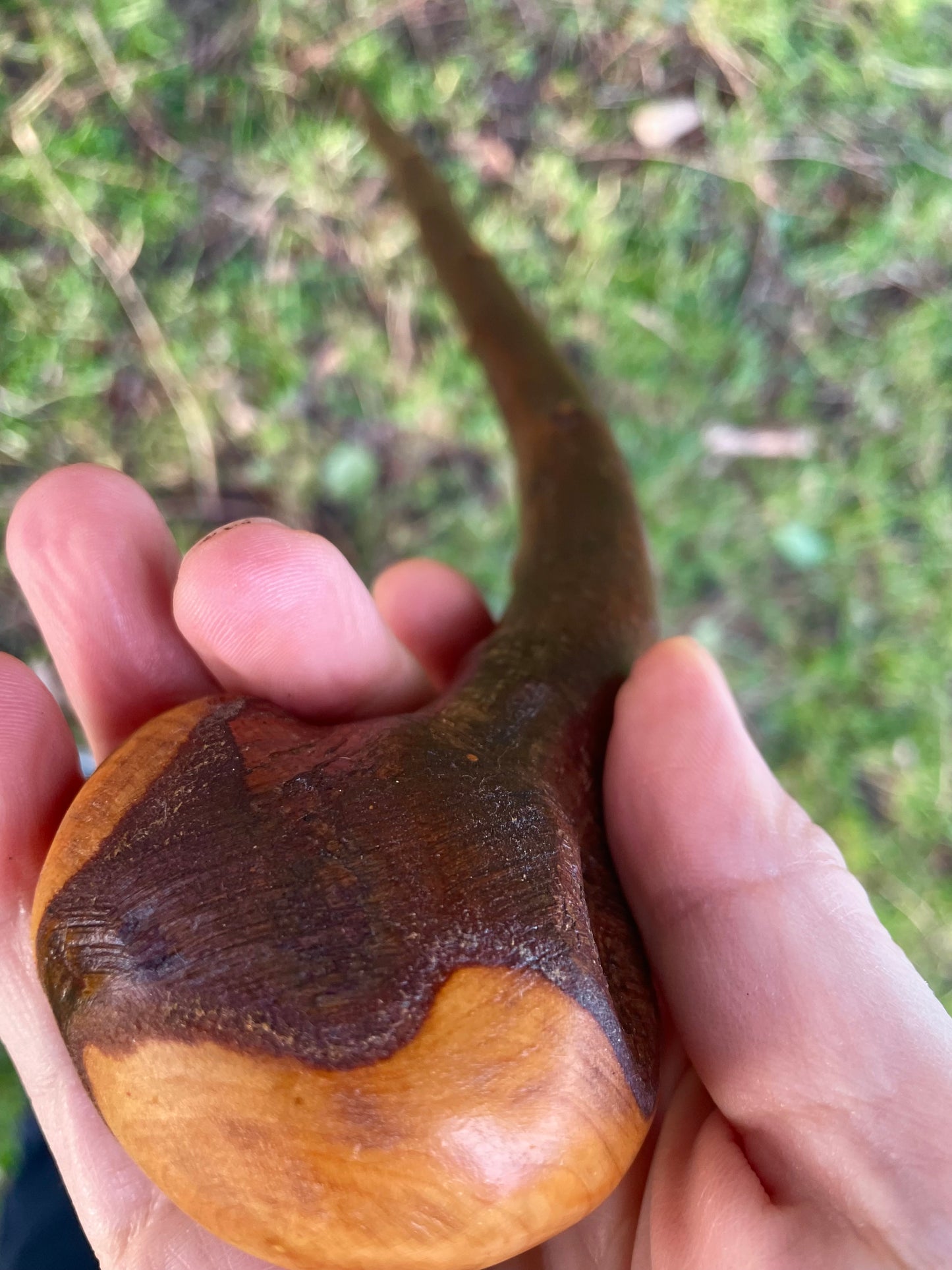 Knob & Curve Blackthorn | Irish Walking Sticks