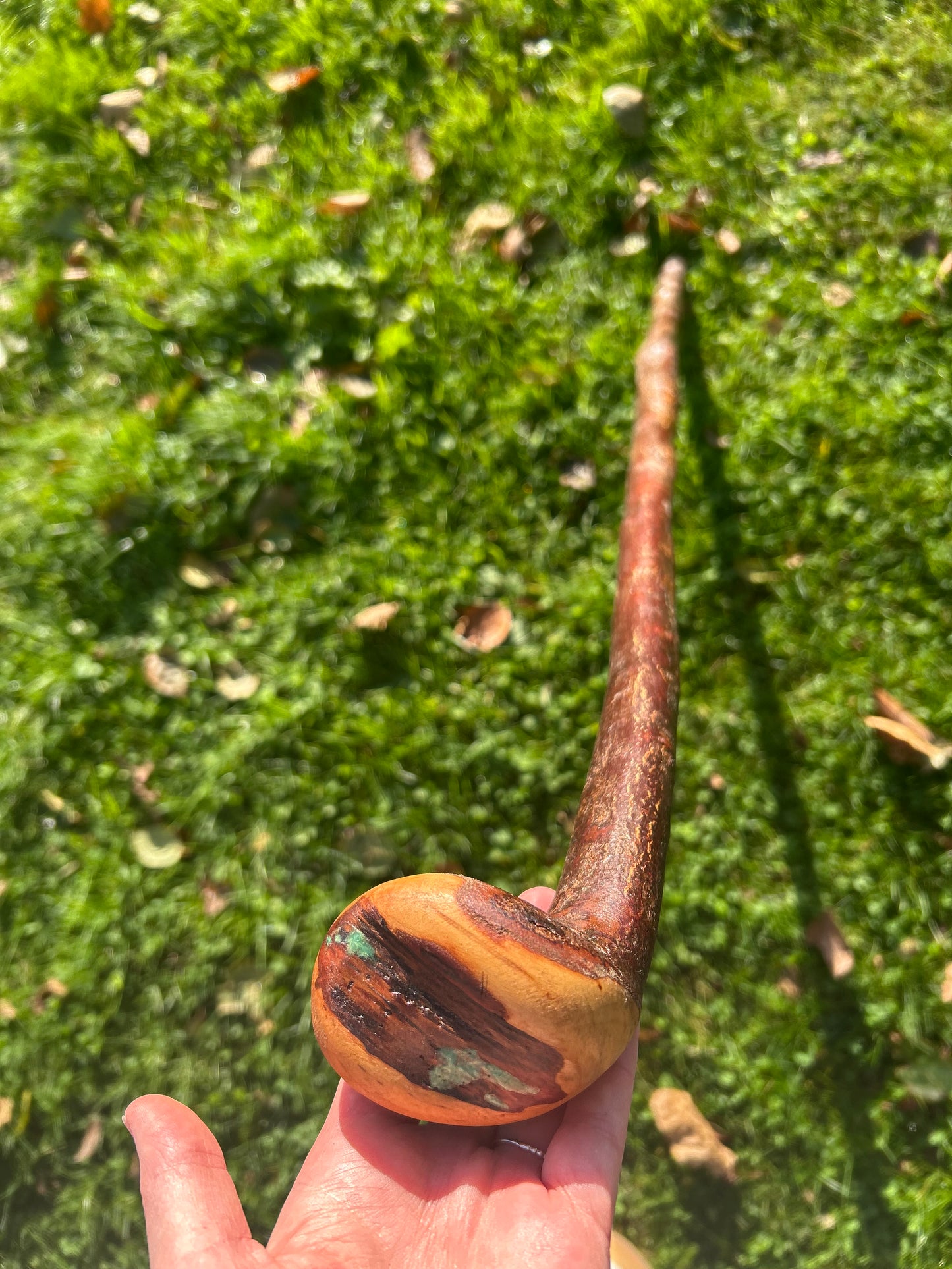 Blackthorn Walking Stick with Round Handle - 97 cm / 38.2 inches
