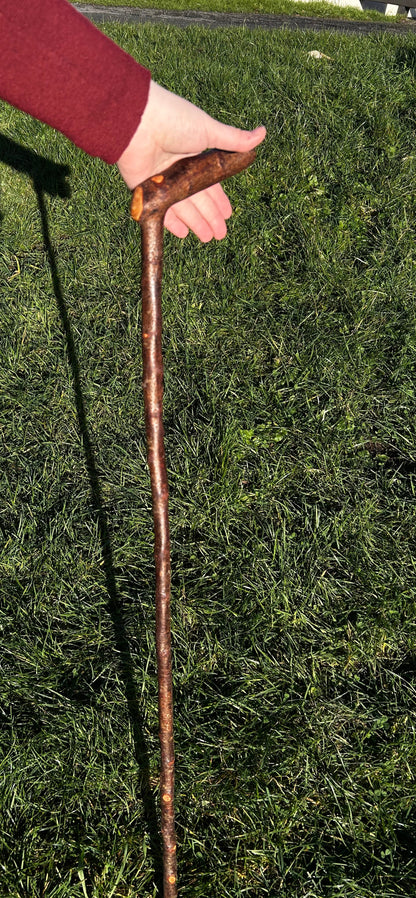 Blackthorn Walking Stick with L Handle – 102 cm / 40 inches