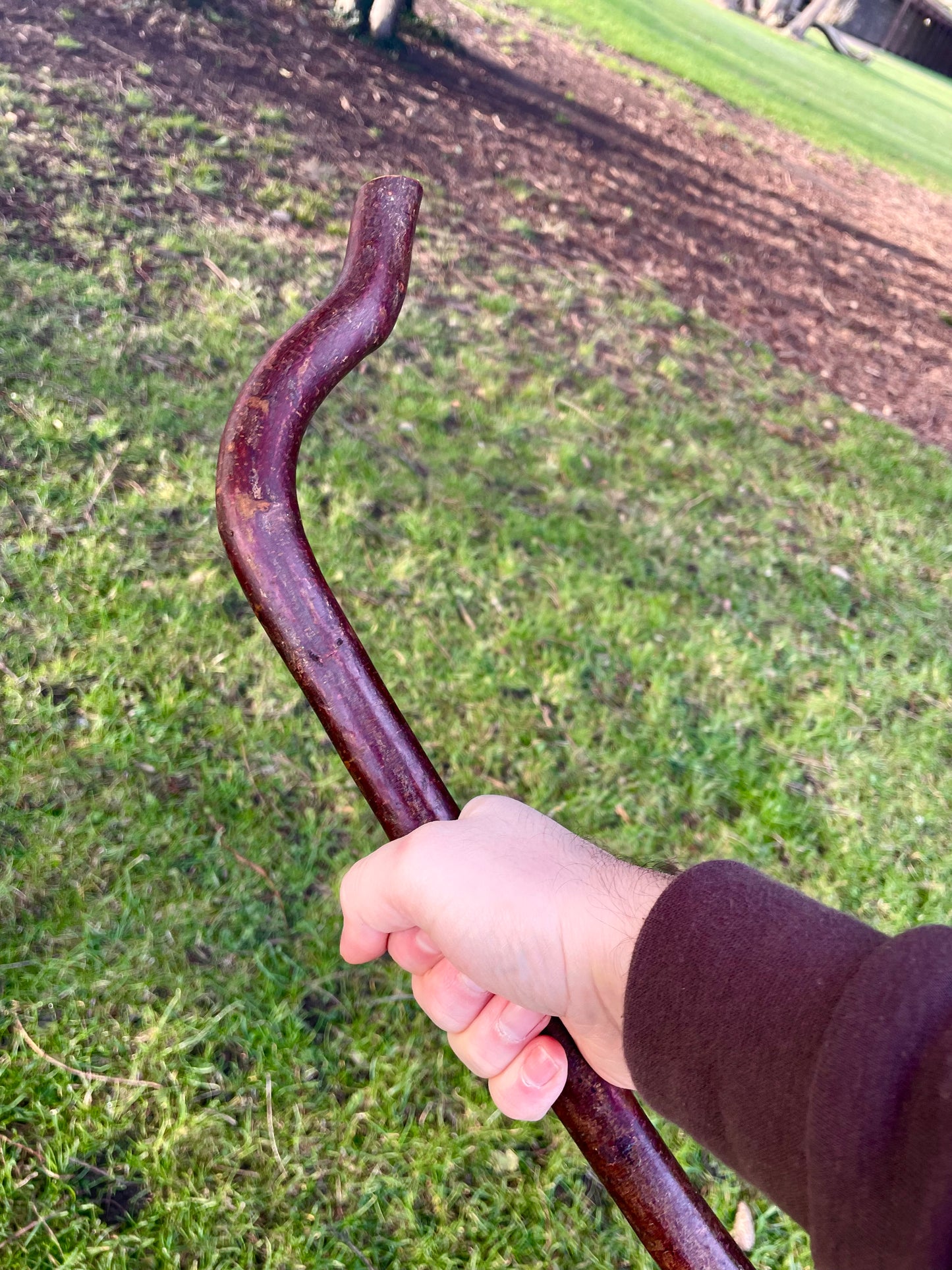 Beechwood Hiking stick