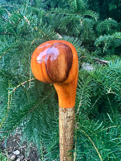 Hazel Walking Stick with Spalted Yew Head – 39”