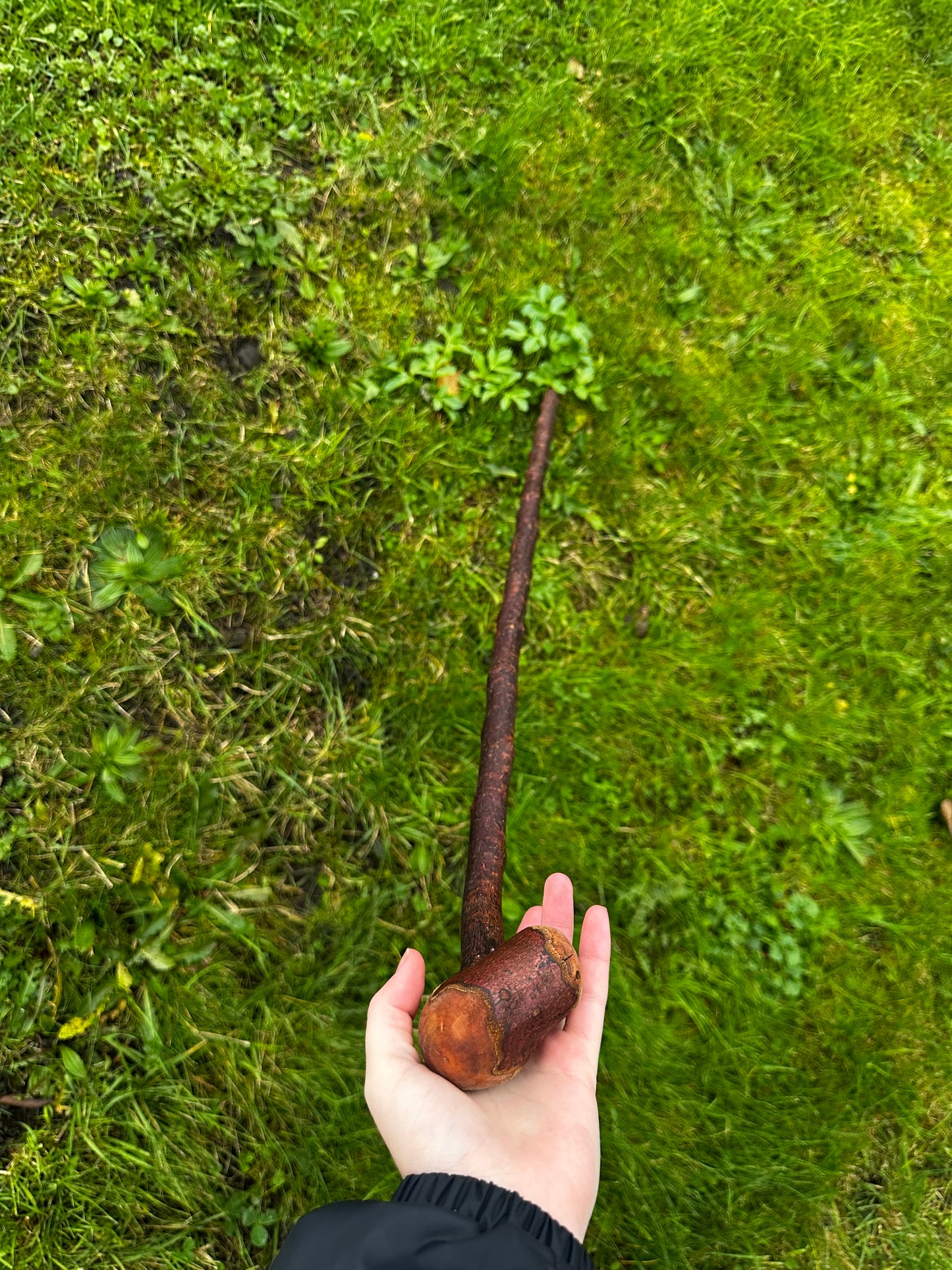 Rustic Blackthorn Hiking Stick with Leaning Head – 105 cm (41.3”)