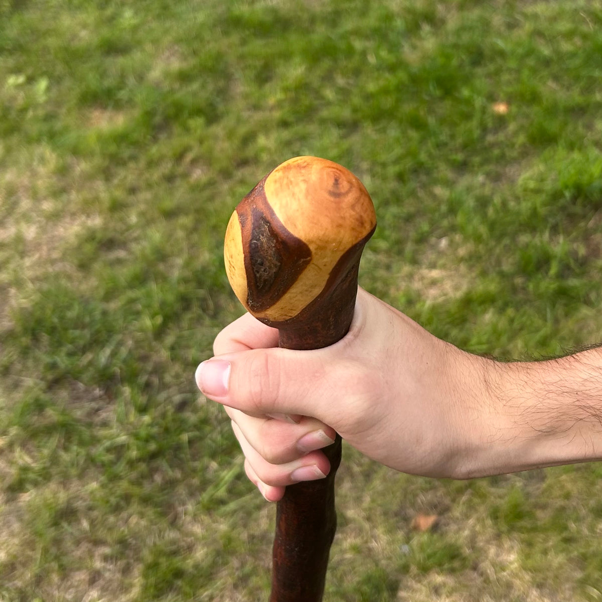 Blackthorn Shillelagh Knob Stick – 90 cm (35.4”)