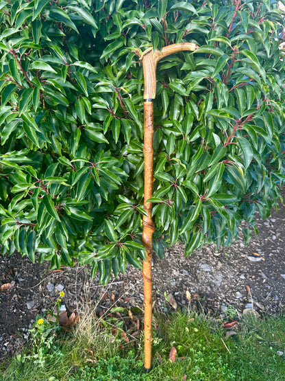 Hazel Walking Stick with Deer Antler Handle - 100 cm / 39 inches