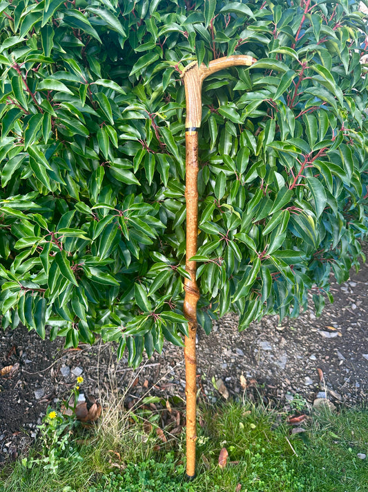 Hazel Walking Stick with Deer Antler Handle - 100 cm / 39 inches