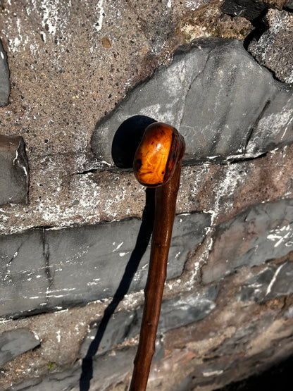 Blackthorn Knob Walking Stick – 100 cm / 39 inches