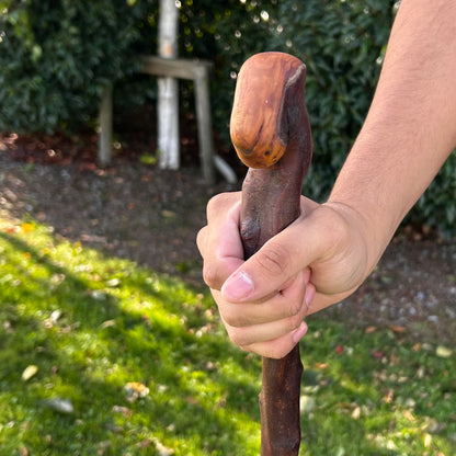 Viper-Shaped Root Ball Blackthorn Shillelagh – 105 cm (41.3”)