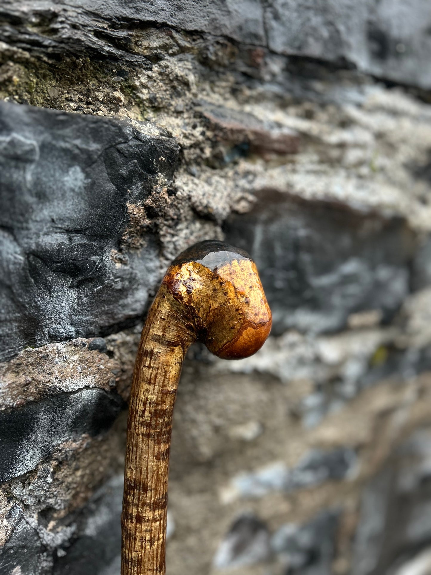 Hazel Walking Stick with Leaning Knob Head – 100 cm (39.4”)