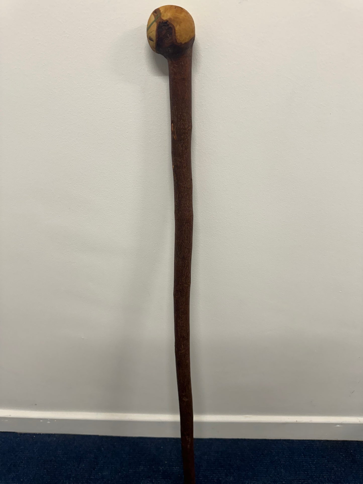 Lovely Blackthorn Walking Stick with Round Handle – 100cm
