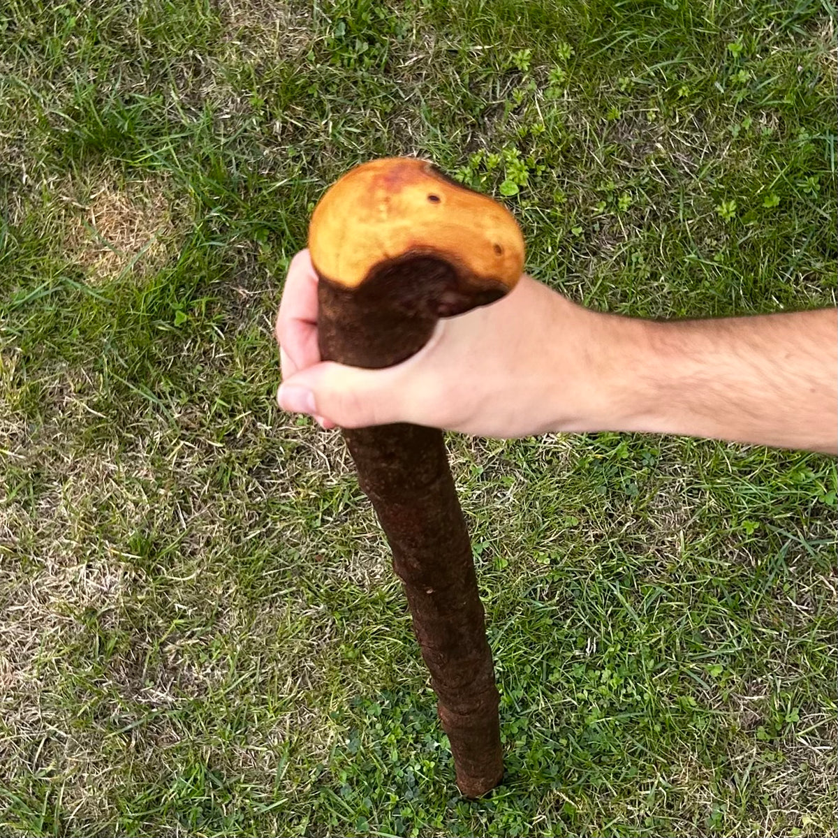 Heavy Chunky Blackthorn Shillelagh Small Knob Stick – 101 cm (39.8”)