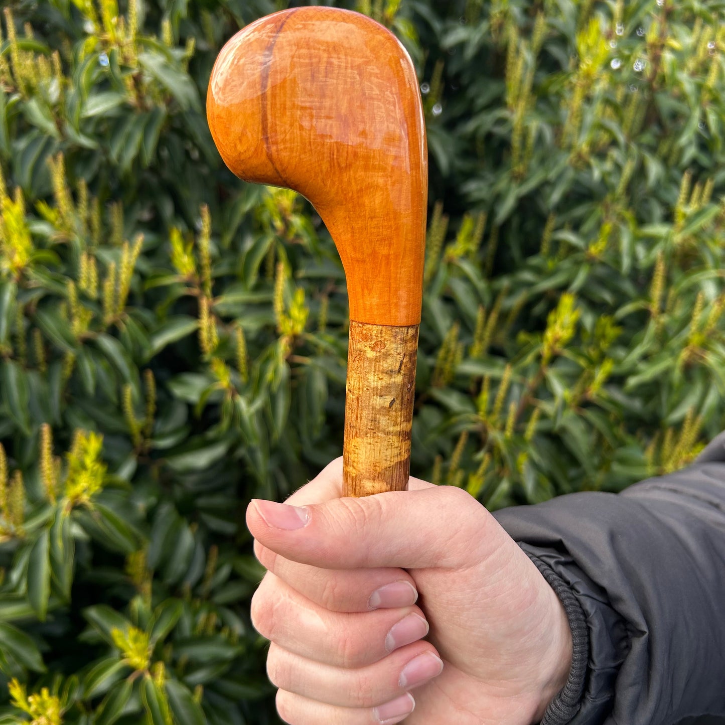 Luxury Hazel Two-Piece Shillelagh with Spalted Beech Handle – 100 cm (39.4”)