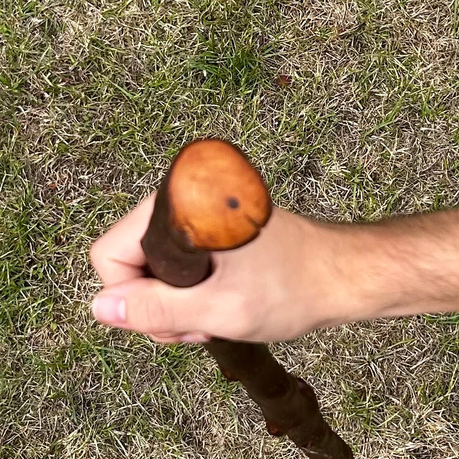 Chunky Blackthorn Shillelagh Small Knob Stick – 99 cm (39”)