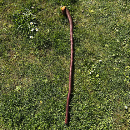 Rustic Blackthorn Shillelagh Root Ball Handle – 95 cm (37.4”)