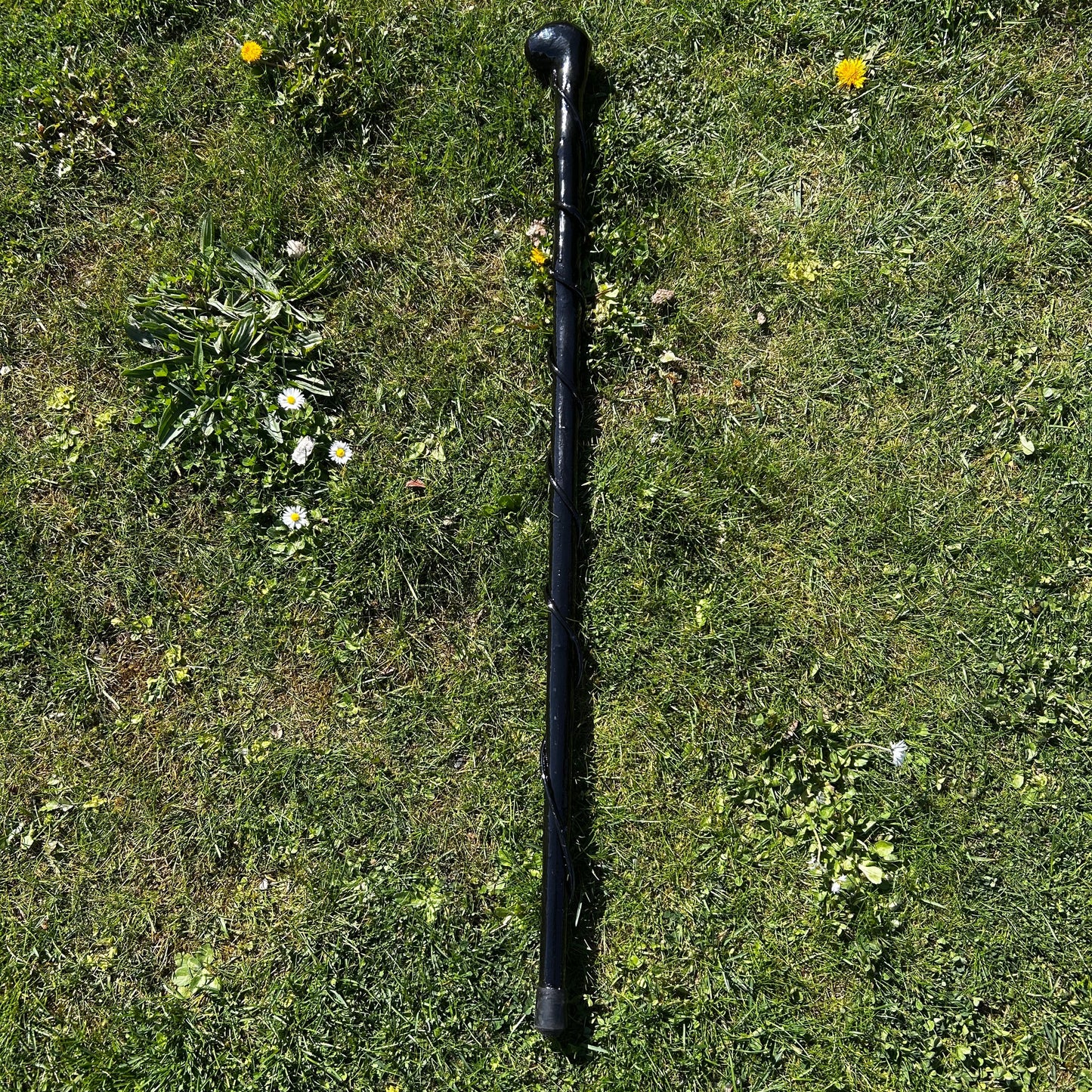 Vinny the Shillelagh – Blackthorn Two-Piece Stick with Natural Vine – 100 cm (39.4”)