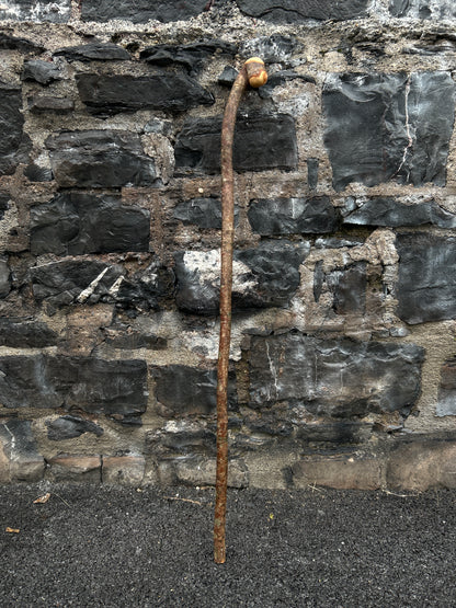 Raspy-Textured Hazel Walking Stick with Knob Head – 99 cm (39”)