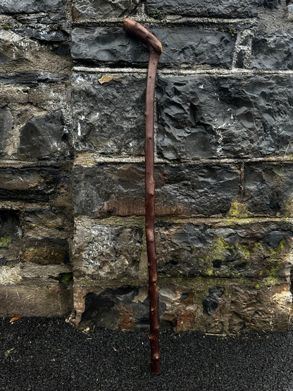 Blackthorn Walking Stick with 45° L-Shaped Handle – 102 cm (40.1”)