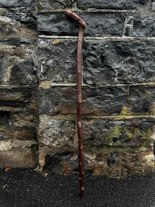 Blackthorn Walking Stick with 45° L-Shaped Handle – 102 cm (40.1”)