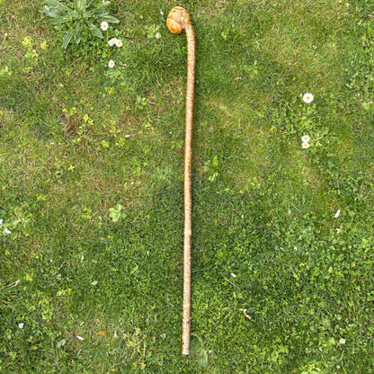 Hazel Knob Walking Stick with Natural Bark – 96 cm (37.8”)