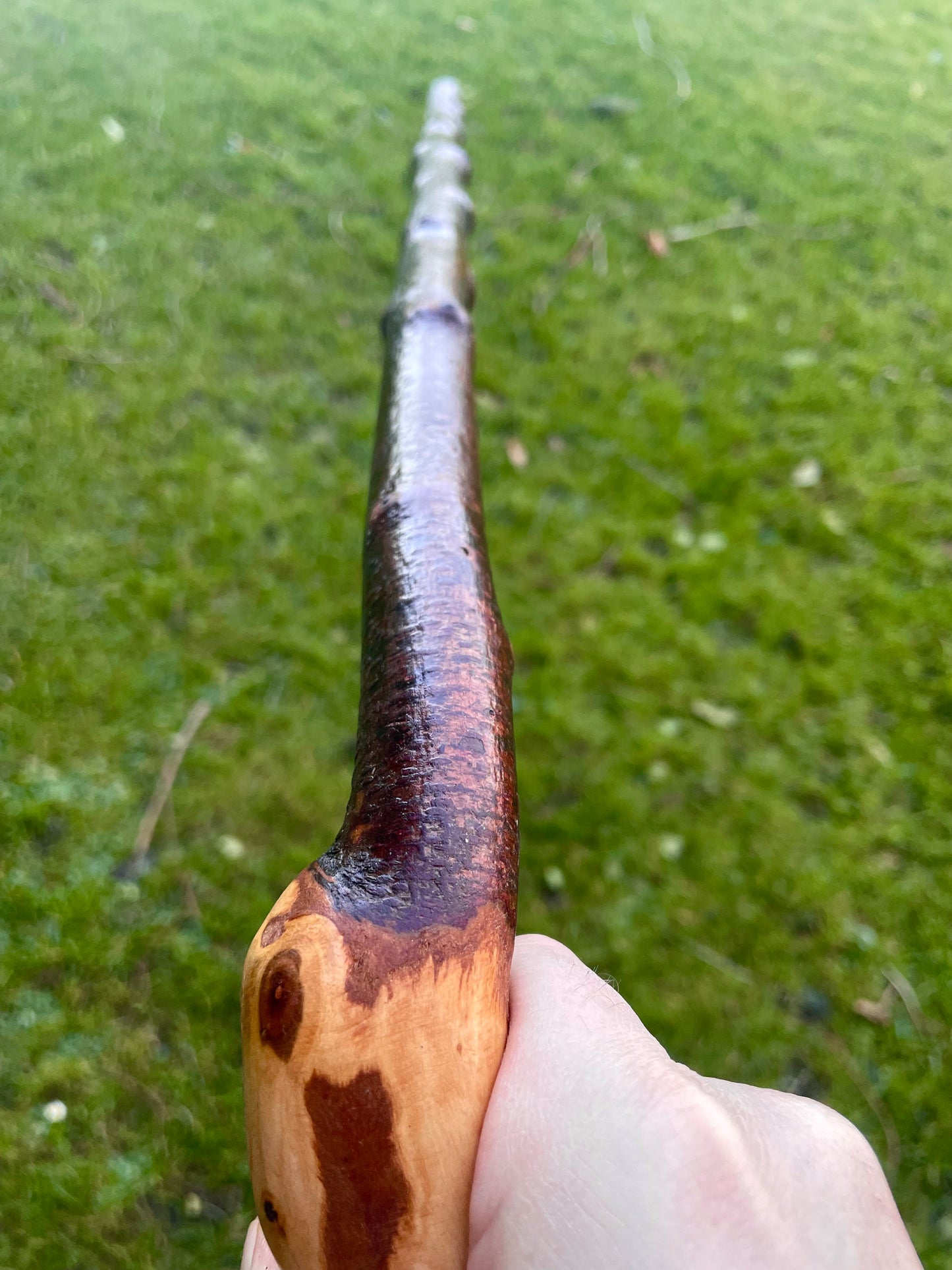 Blackthorn walking stick with sloped Handle