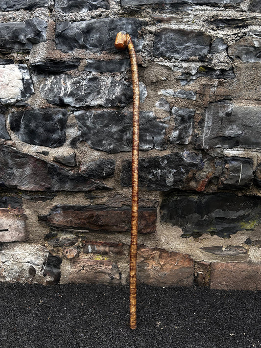 Hazel Walking Stick with Leaning Knob Head – 100 cm (39.4”)
