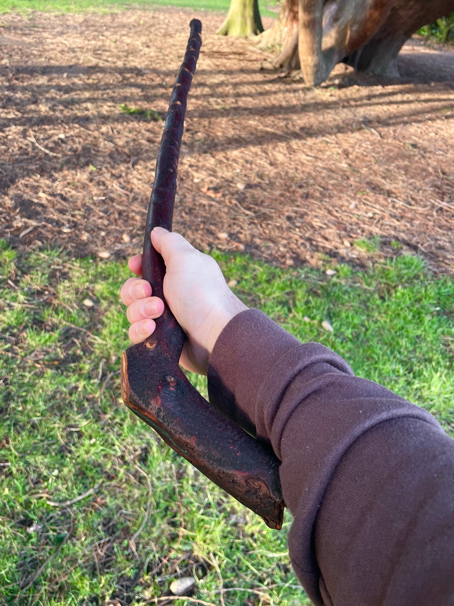 Blackthorn walking stick with Rugged Rugged handle