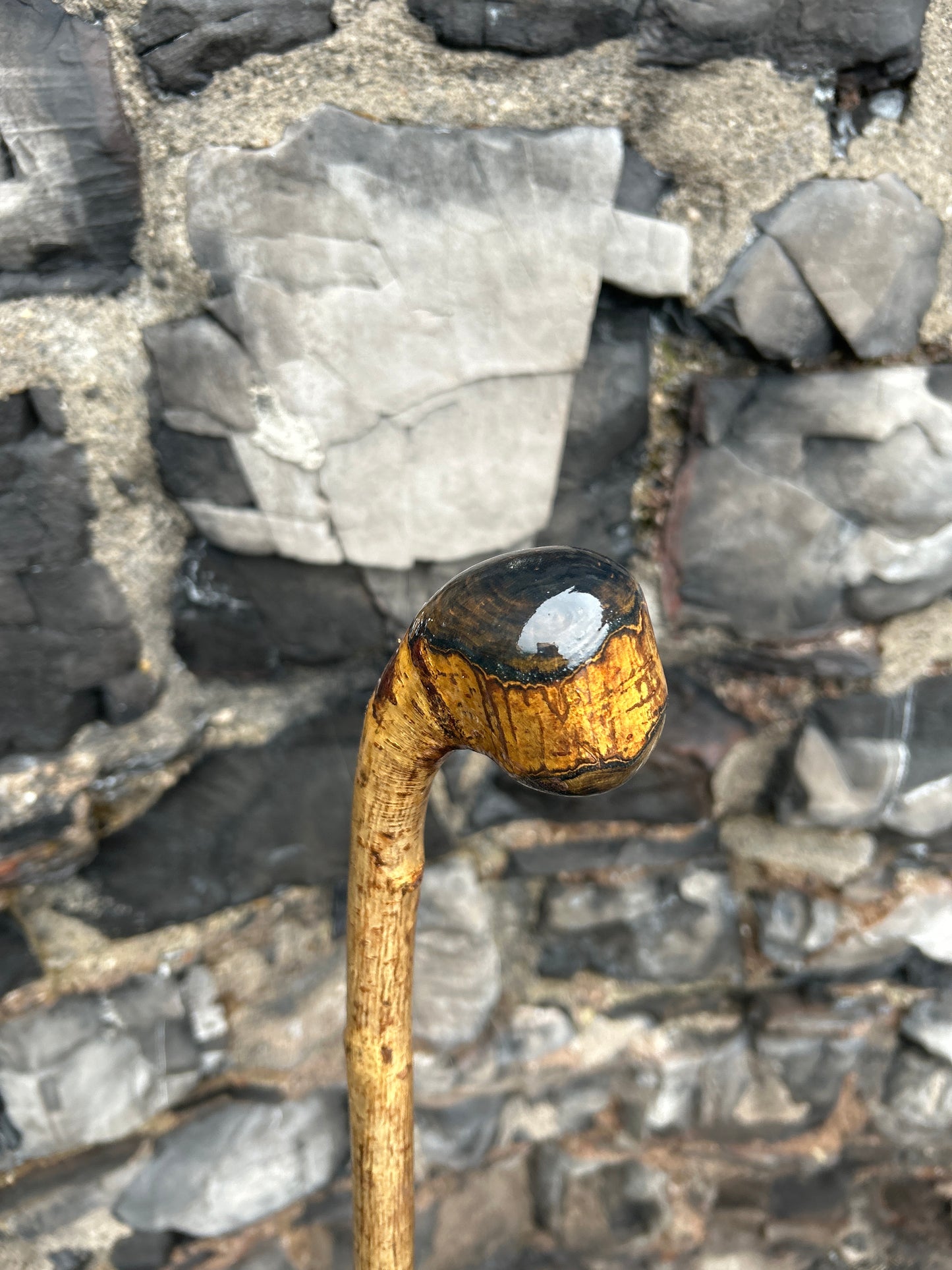 Hazel Walking Stick with Finished Knob Handle – 103 cm (40.5")