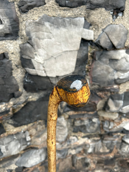 Hazel Walking Stick with Finished Knob Handle – 103 cm (40.5")