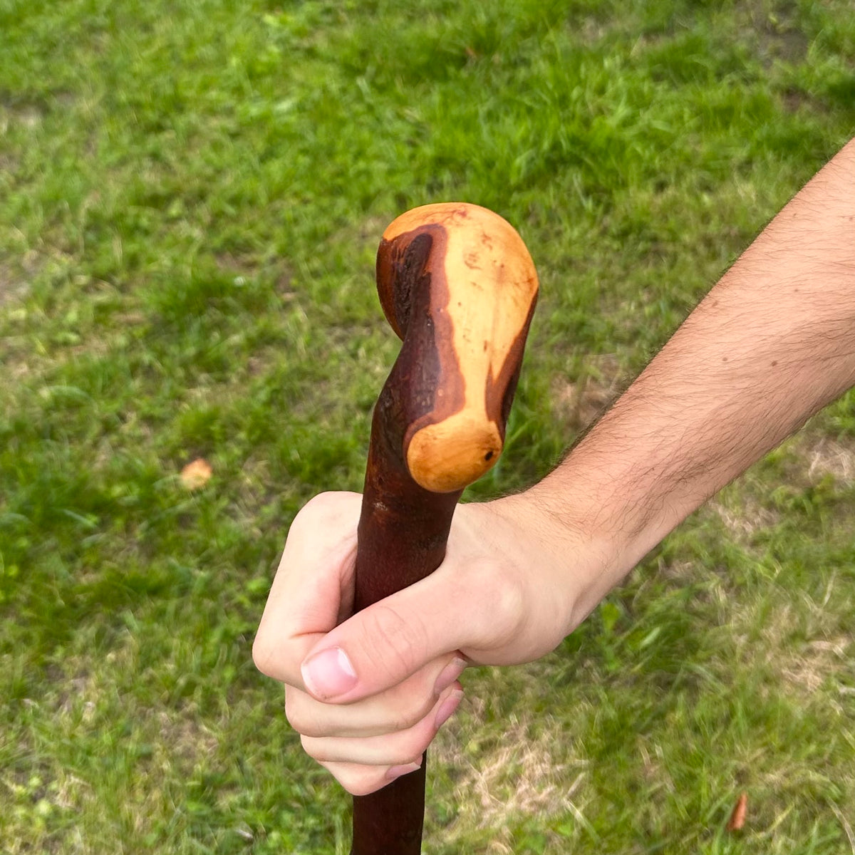 Unusual Chunky Knob Blackthorn Shillelagh – 95 cm (37.4”)