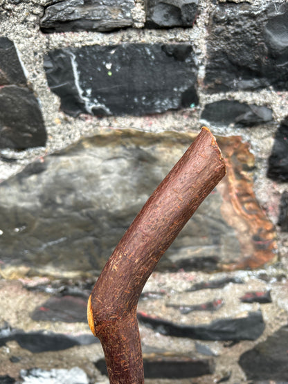 Sloped Blackthorn Hiking Stick – 103 cm (40.5”)