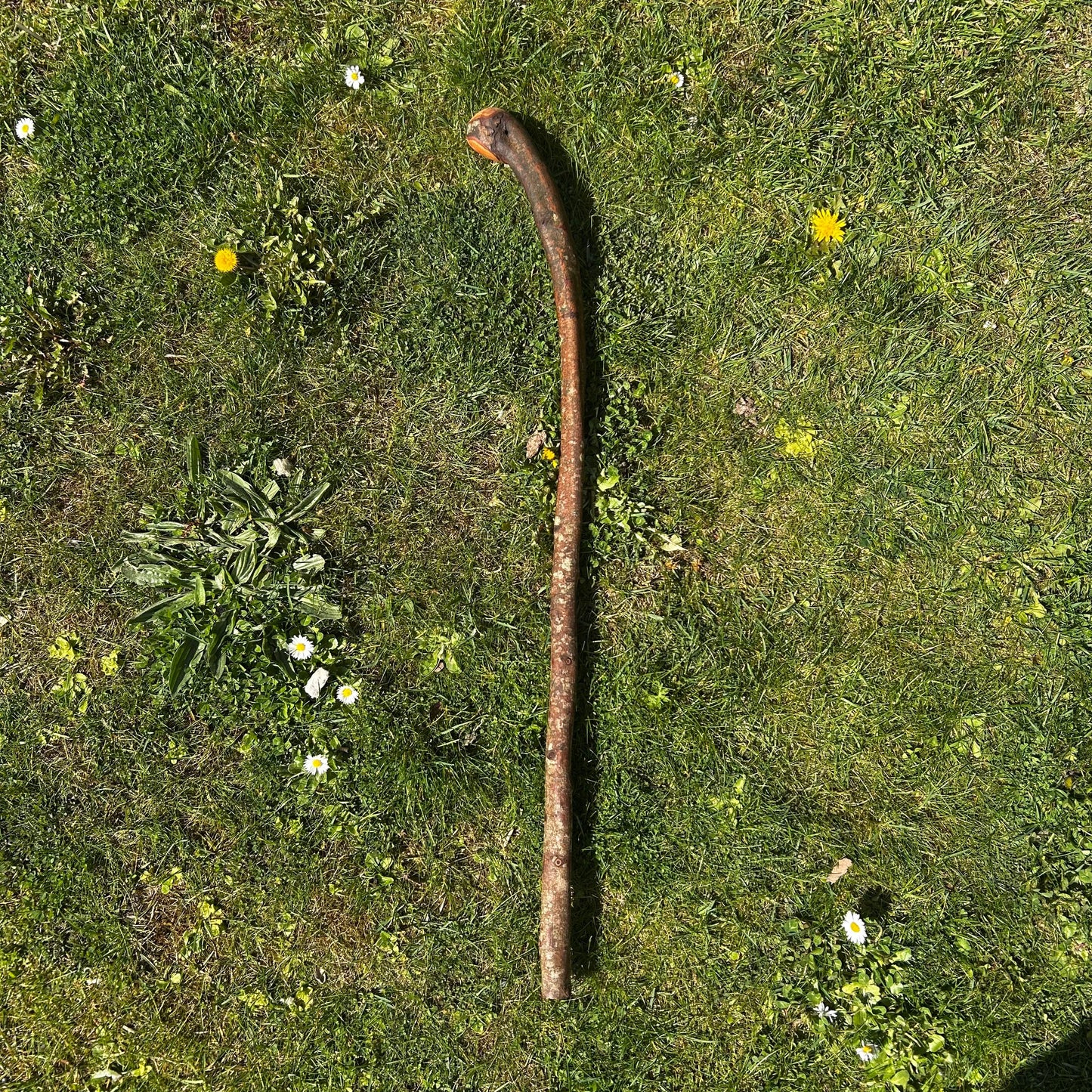 Humpy Hugh Shillelagh – 90 cm (35.4”)