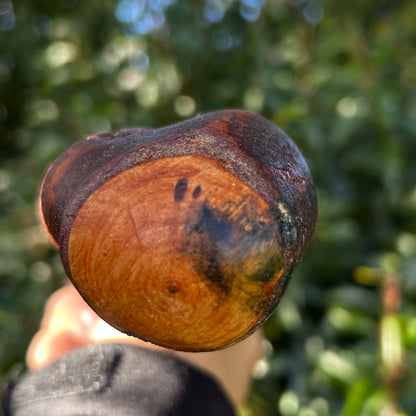 Rugged Ronan - Root Ball Blackthorn Shillelagh Knob Stick