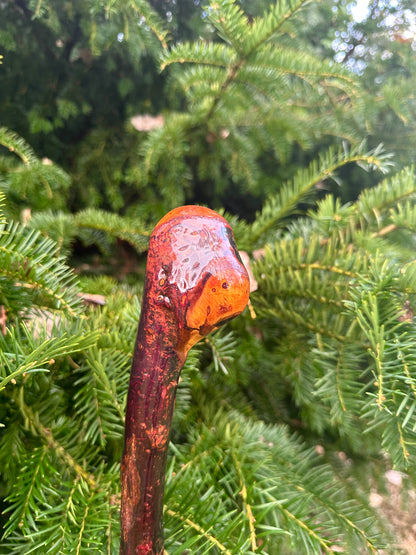 Irish Blackthorn Walking Stick – 40”