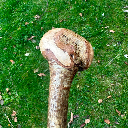 Hazel Walking Stick with Round Handle 97 cm / 38 inches