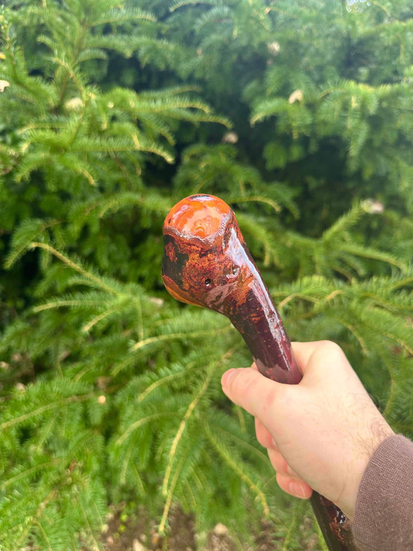 Irish Blackthorn Walking Stick – 40”