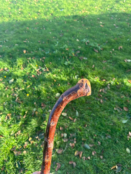 Sold - Blackthorn Walking Stick with Small Curved Handle – 98cm