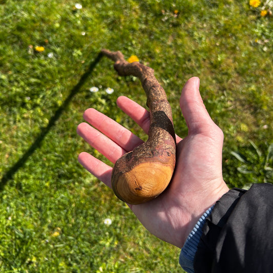 Twisted Blackthorn Shillelagh Knob Stick – 102 cm (40.1”)