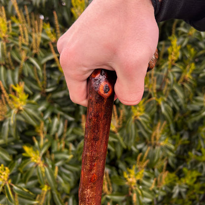 Luxury Blackthorn Shillelagh Root Ball Knob Stick – 101 cm (39.7”)