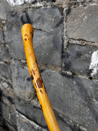 Light Hazel Walking Stick with Copper End – 37” (94 cm)