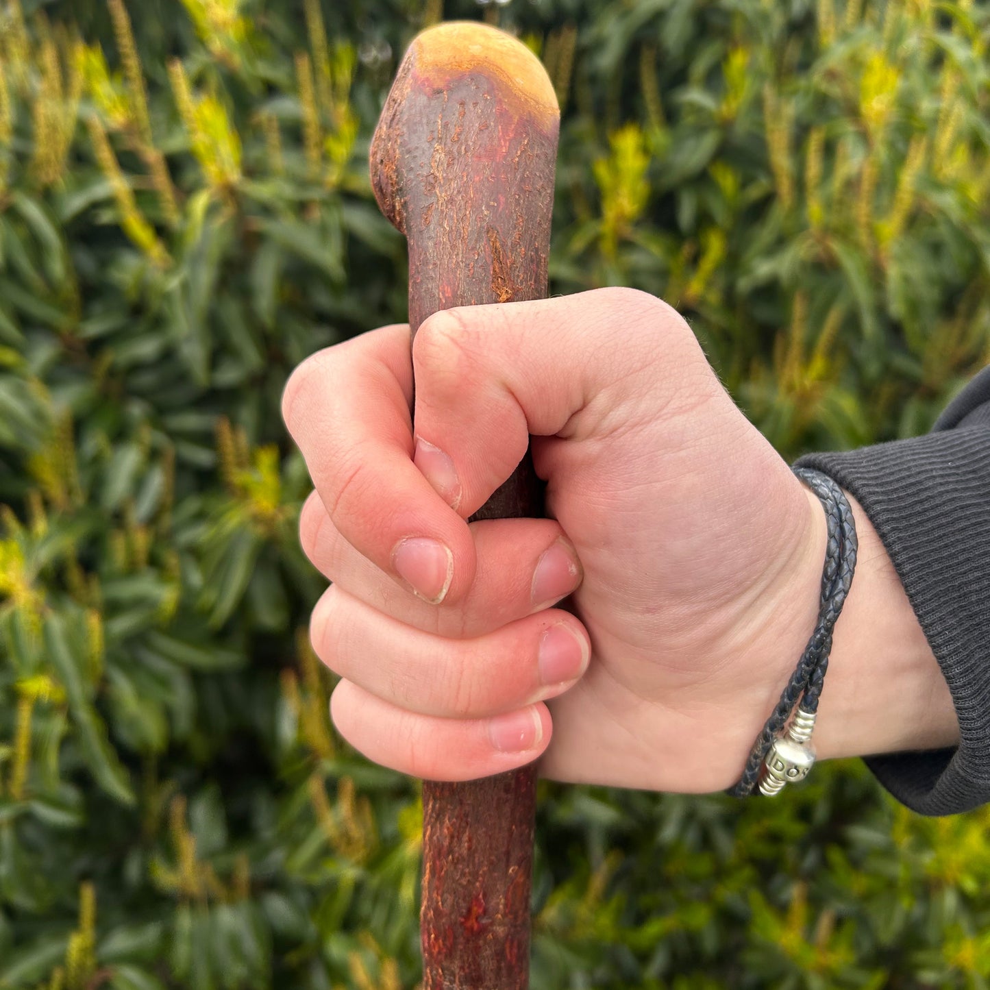 Blackthorn Shillelagh Smooth Knob Stick – 94 cm (37”)