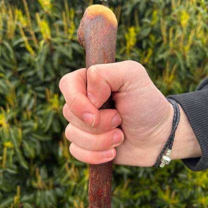 Blackthorn Shillelagh Smooth Knob Stick – 94 cm (37”)