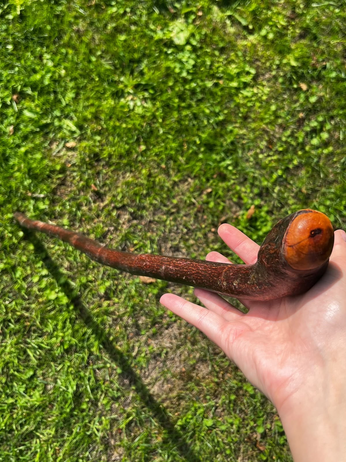 Rugged Blackthorn Shillelagh Knob Knuckle Stick – 87 cm (34.2”)